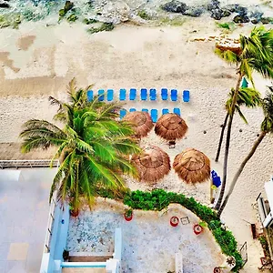 Отель Pelicano - Beachfront Плая-дель-Кармен